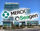Merck ведет переговоры о покупке Seagen за $40 млрд