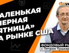 Маленькая "черная пятница" на рынке США | Петр Пушкарев