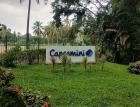 Capgemini зафиксировала снижение продаж