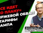 Биржевой обвал и тарифы Трампа | Петр Пушкарев