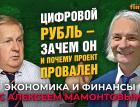 Цифровой рубль - зачем он и почему проект провален. Михаил Сенаторов - Алексей Мамонтов