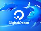 Ставка на простоту: как DigitalOcean меняет правила игры