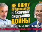 Не вижу предпосылок к скорому окончанию войны. Николай Егоров - Алексей Мамонтов