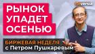 Рынок упадет осенью / Петр Пушкарев