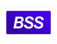 BSS против киберпреступности