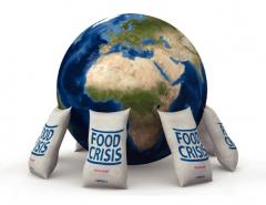 Из-за эпидемии миру грозит продовольственный кризис