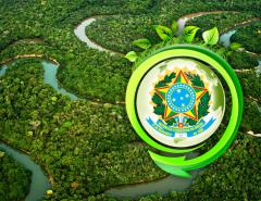 Бразильская Амазония и инвестиции: мировые инвесторы выбирают экологию