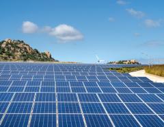 Акции сектора солнечной энергетики подскочили на новостях о приостановке действия тарифов