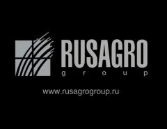 Чистая прибыль "Русагро" за первое полугодие снизилась на 99%