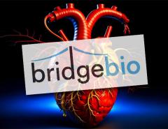 Акции BridgeBio Pharma взлетели на фоне успешных испытаний препарата для лечения сердечно-сосудистых заболеваний