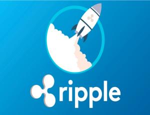 Глава Ripple обратился к Конгрессу США с открытым письмом