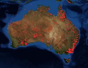 Инвесторы ждут падения австралийского доллара, так как лесные пожары бьют по экономике