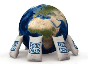 Из-за эпидемии миру грозит продовольственный кризис