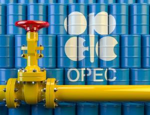 Сокращение мировой добычи нефти стало заложником решения Мексики