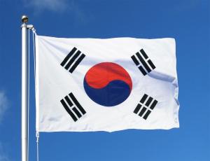 Экономисты ставят в пример действия Южной Кореи по борьбе с коронавирусом