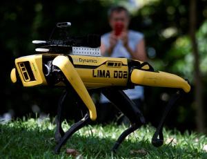 Boston Dynamics принимает заказы на робота-собаку