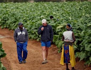 Правительство Зимбабве согласилось выплатить $3,5 млрд компенсации белым фермерам