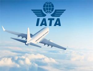 IATA призвала правительства заранее подготовить авиацию для распространения вакцины