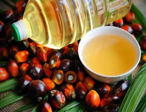 США ввели запрет на импорт пальмового масла из Малайзии