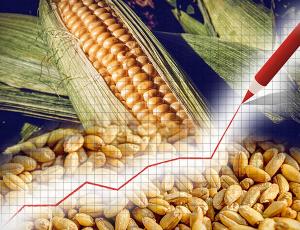 Мир, вероятно, на пороге кратного роста цен на сельхозтовары
