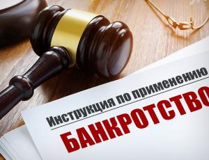 Банкротство – инструкция по применению