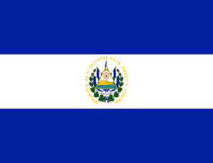 Сальвадор станет первой страной в мире, которая примет биткоин в качестве законного платежного средства