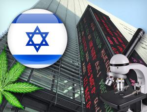 Фондовый рынок Израиля: хайтек и каннабис