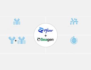 Pfizer подписала контракт с Seagen на $43 млрд