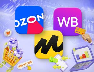 Инвестиции в российские маркетплейсы