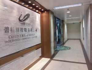 Девелопер Country Garden планирует в феврале реструктурировать свой долг
