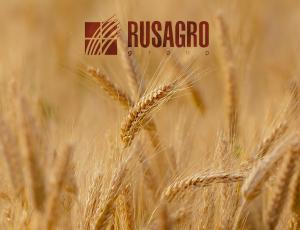 Попытки «поймать дно» в акциях «Русагро» могут закончиться плачевно