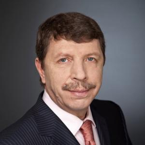 Александр Викулин: «Отзыв лицензий должен быть поставлен в очень жесткие правовые рамки»
