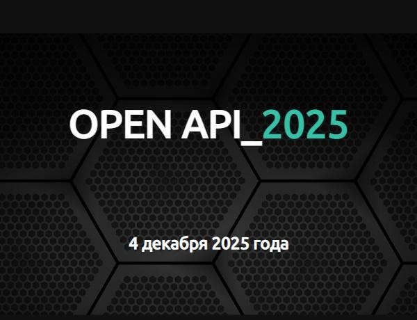 OPEN API_2025